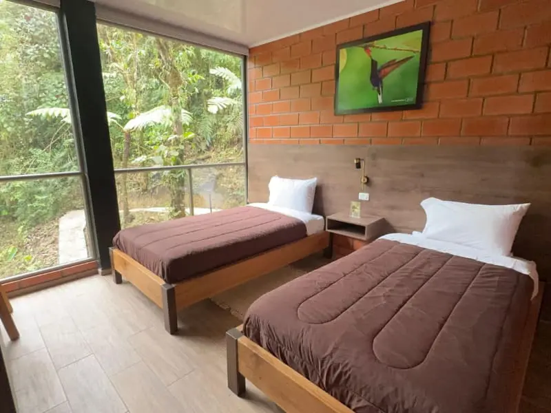 Twin bedroom at Mashpi Amagusa Guest House with glass walls and views into the surrounding garden