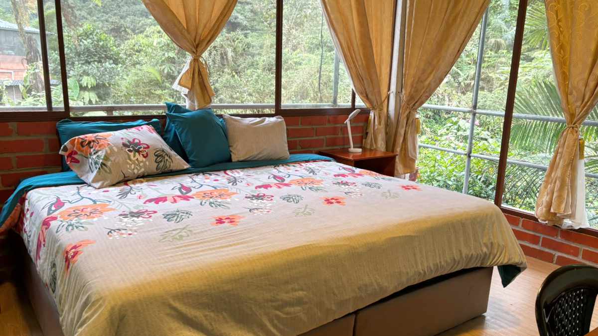 A King Room with colorful bedding and wonderful views of the surrounding garden.